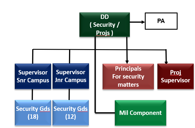 Organogram — Security & Projects
